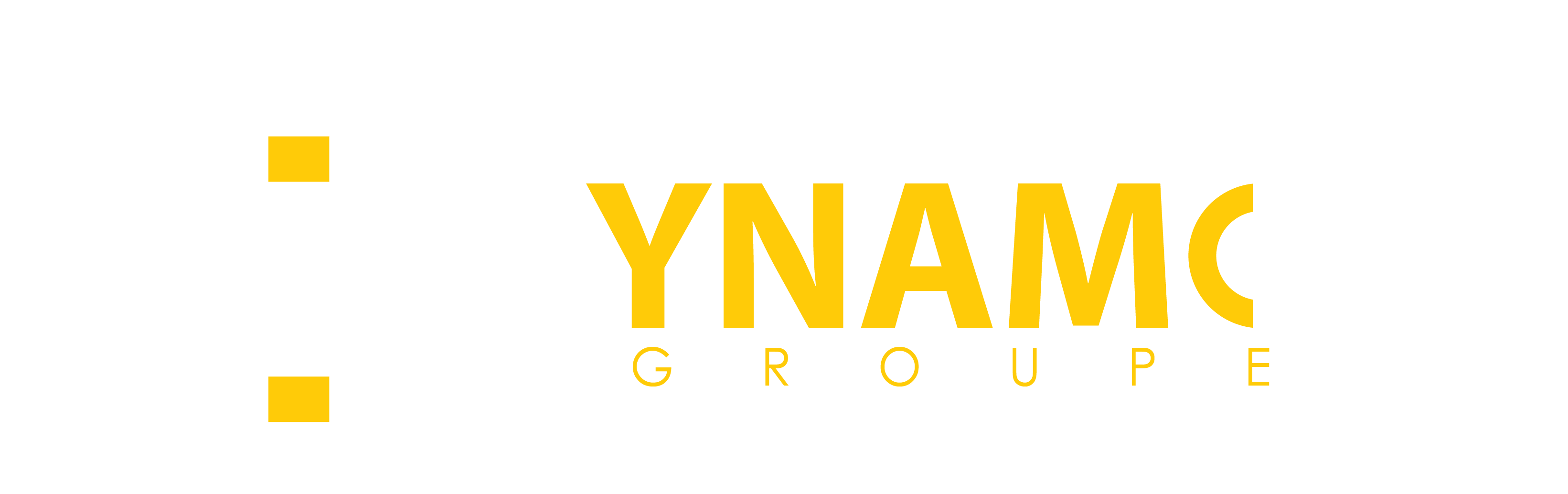 Dynamo groupe